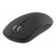 Computer Accessories